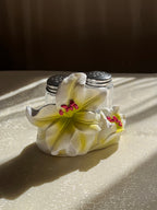 Salt & Pepper Set