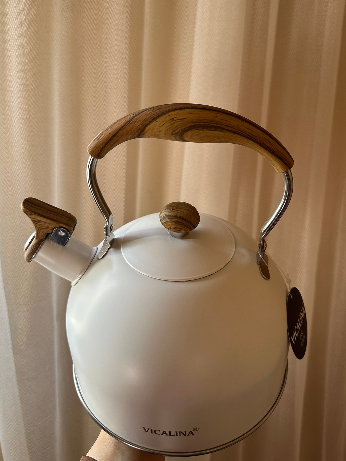 Stainless Steel Teapot