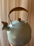 Stainless Steel Teapot