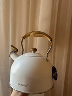 Stainless Steel Teapot