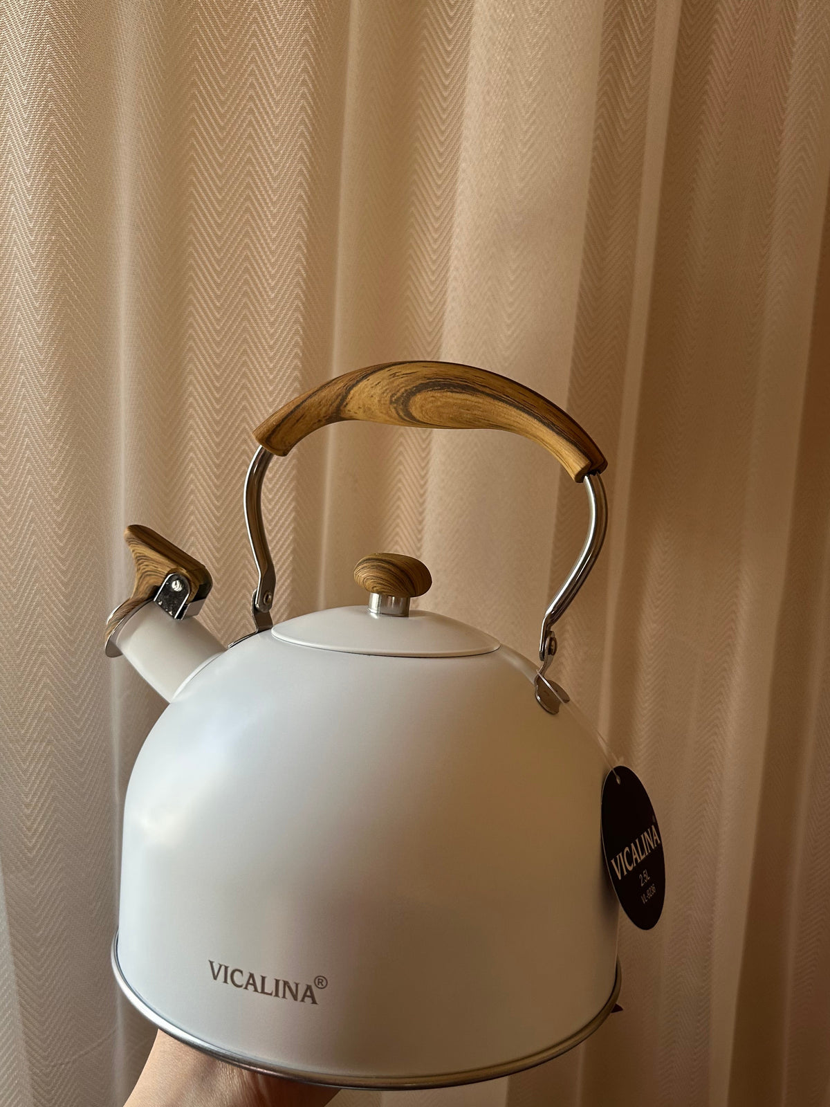 Stainless Steel Teapot