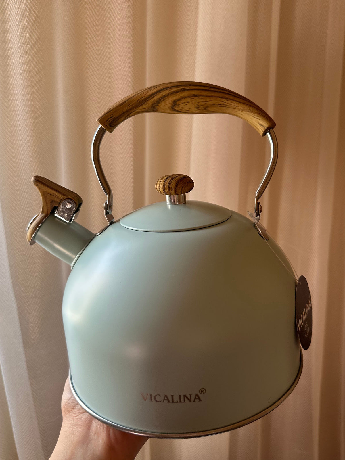 Stainless Steel Teapot