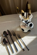 Stainless steel Cutlery Set