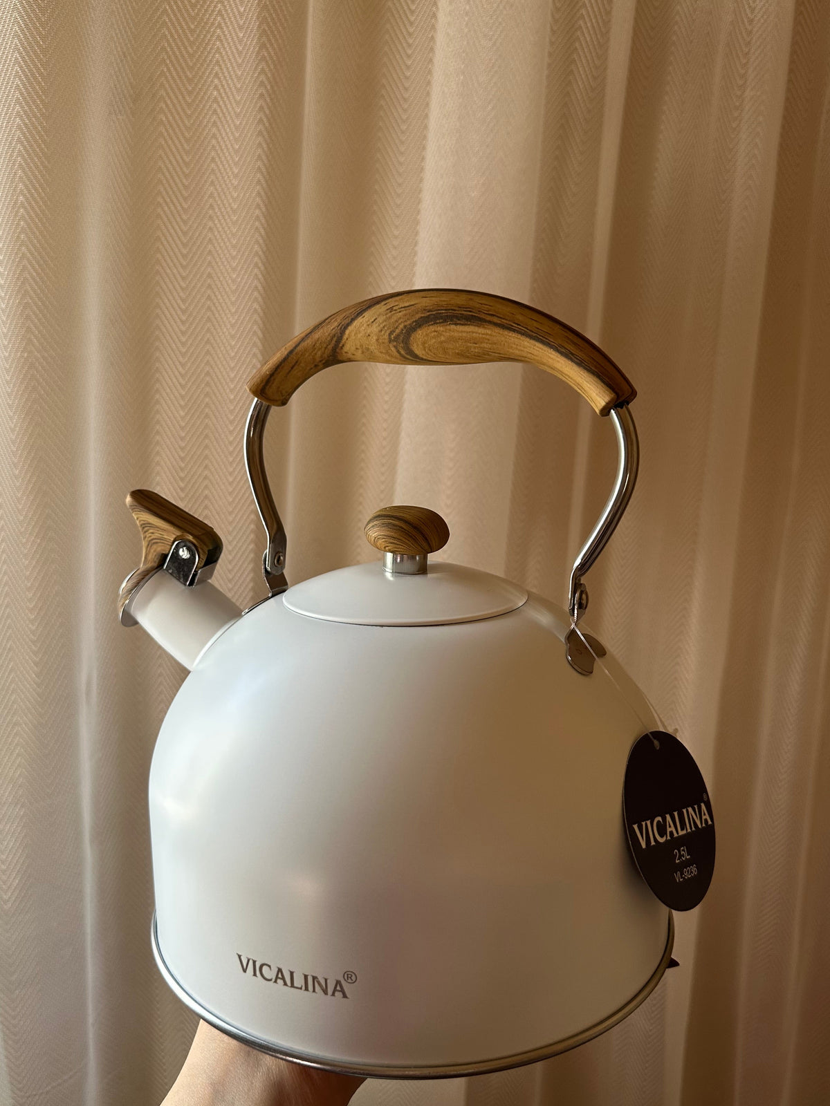 Stainless Steel Teapot