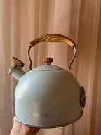 Stainless Steel Teapot