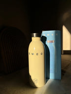 Stainless Steel Bottle